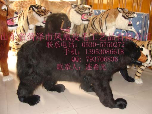 供应照相动物道具黑熊
